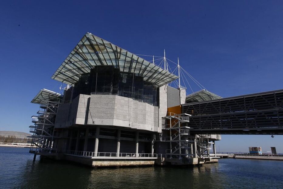 03-11-2016_14_47_41 oceana.jpg