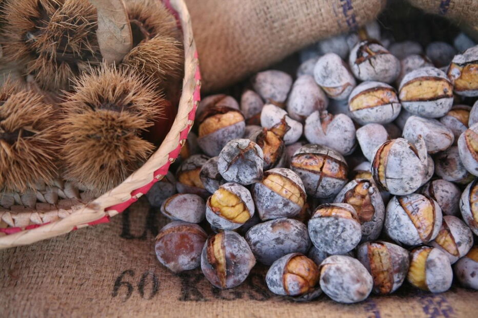 quentes e boas, castanhas, são martinho, outono, magusto