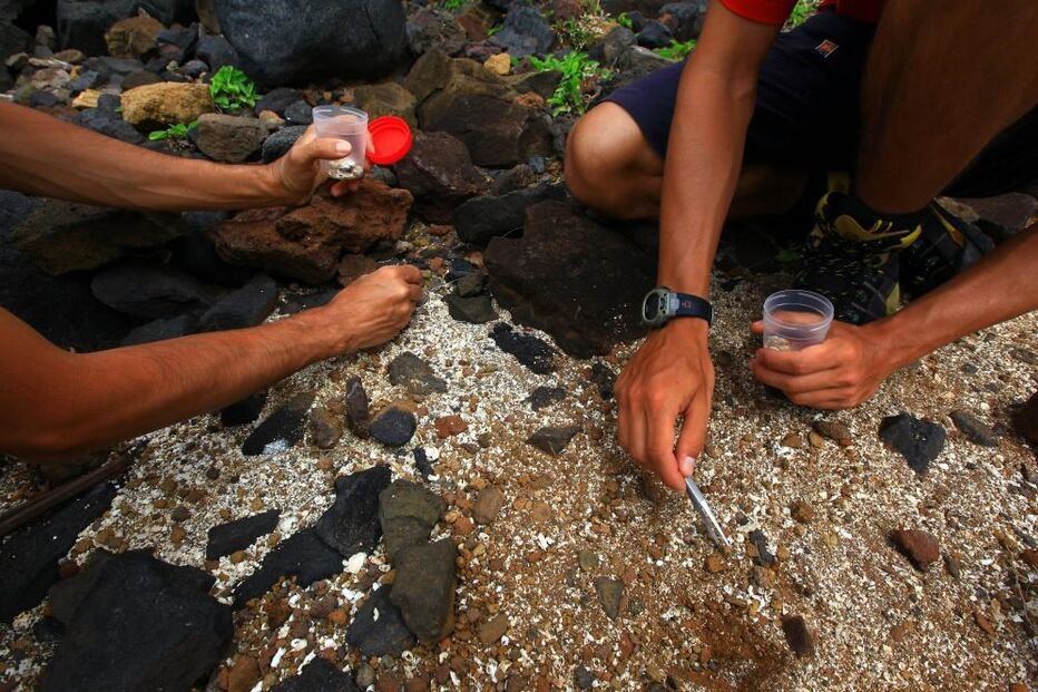 11-11-2016_10_33_58 6164001.JPG