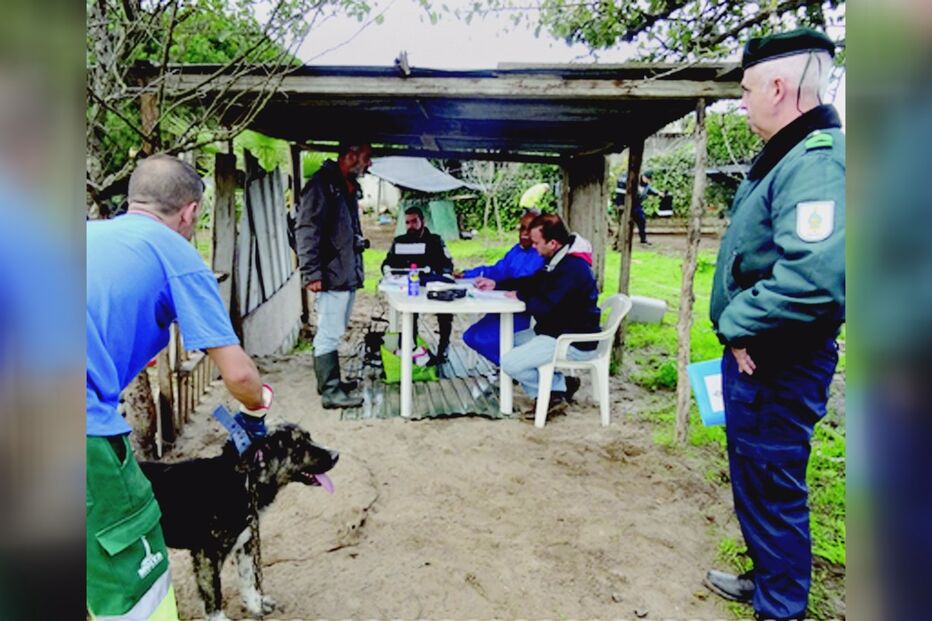 15-11-2016_03_57_14 Still1115_00001.jpg