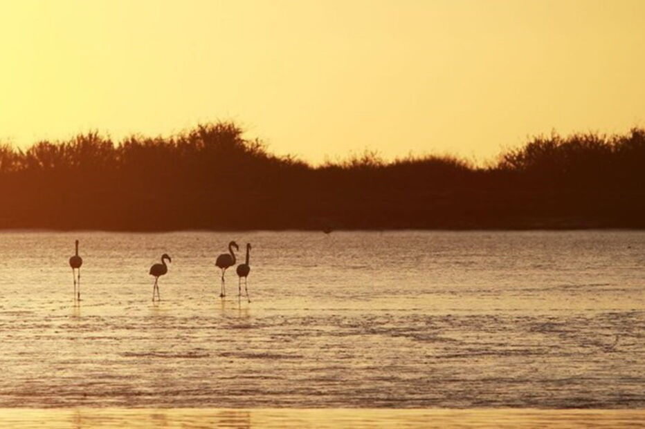 Quercus, Dia Nacional do Mar, Universidade de Aveiro, Zona Económica Exclusiva Portuguesa, Mar do Norte, Japão, Península Antártica, ZEEP, Portugal, ambiente, poluição ambiental, recursos naturais, oceanos, questões sociais