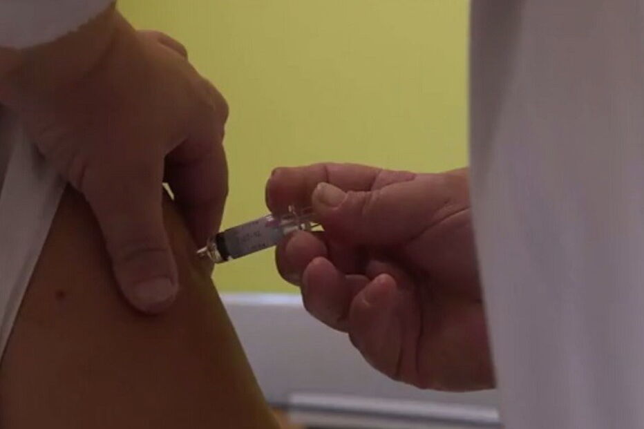 Vacina, Gripe, Estirpe, Médicos, H3N2, Prevenção, Portugal, Mortes, Inverno, OMS, Saúde