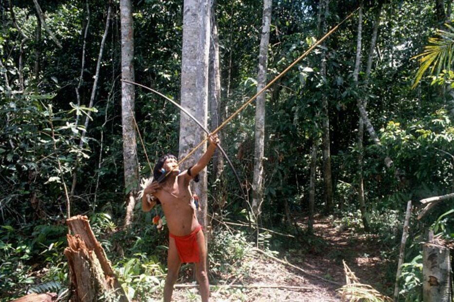 Brasil, flechas, garimpeiros, índios, ouro, Terra Indígena Yanomami