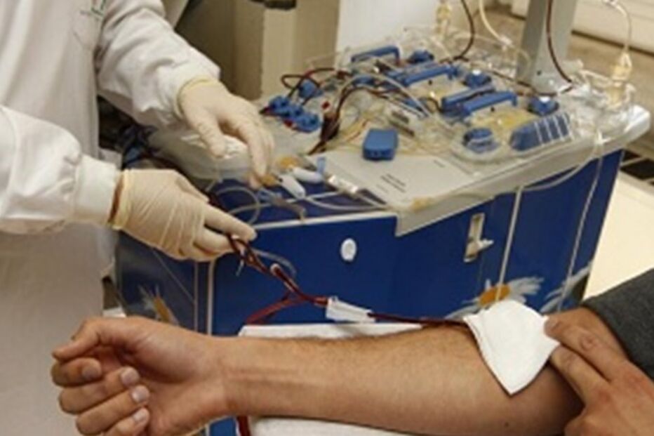  João Paulo Almeida e Sousa, presidente do Instituto Português do Sangue e da Transplantação, Unidade de Gestão Intermédia Urgência e Cuidados Intensivos do Centro Hospitalar, Coimbra, Hélder Trindade, Registo Português de Dadores de Medula Óssea, Banco Público de Sangue do Cordão Umbilical, saúde, questões sociais, política, governo (sistema), Portugal