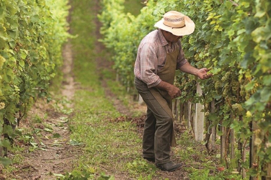 La Rioja, Norte de Espanha