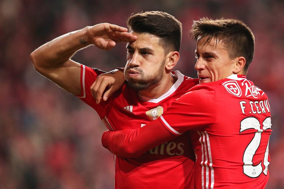 Pizzi, Cervi