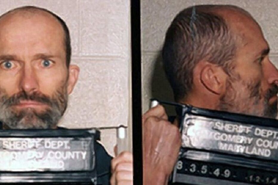 28-11-2016_12_05_18 3ACCA00800000578-3975992-image-a-38_1480268700897.jpg