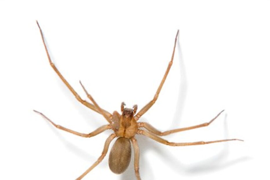 28-11-2016_17_03_43 135184100.jpg