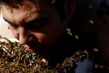 02-12-2016_17_07_18 ng7936849.JPG