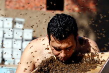 02-12-2016_17_07_19 ng7936850.JPG