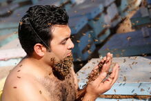 02-12-2016_17_07_20 ng7936851.JPG