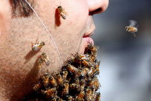 02-12-2016_17_07_21 ng7936853.JPG