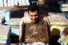 02-12-2016_17_07_22 ng7936854.JPG