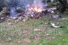 Toledo, queda, avioneta, incêndio