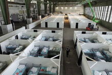 20-12-2016_07_51_06 Germany-745449.jpg