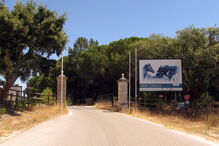 João Álvaro Dias, Herdade da Mata do Duque, Santo Estêvão, Benavente, Cristiano Ronaldo, Rover, presidente da Junta de Freguesia de Santo Estêvão, PJ