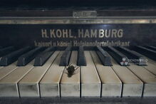 As imagens da desolação do abandono, captadas pelo fotógrafo português