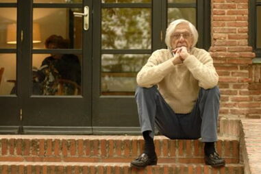 ferreira gullar, poeta, porto, visita