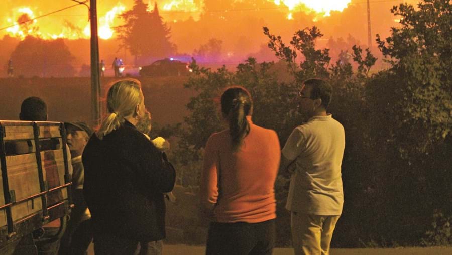 Incêndios florestais consumiram um total de 5801 hectares entre 1 de janeiro e 31 de outubro deste ano no Algarve