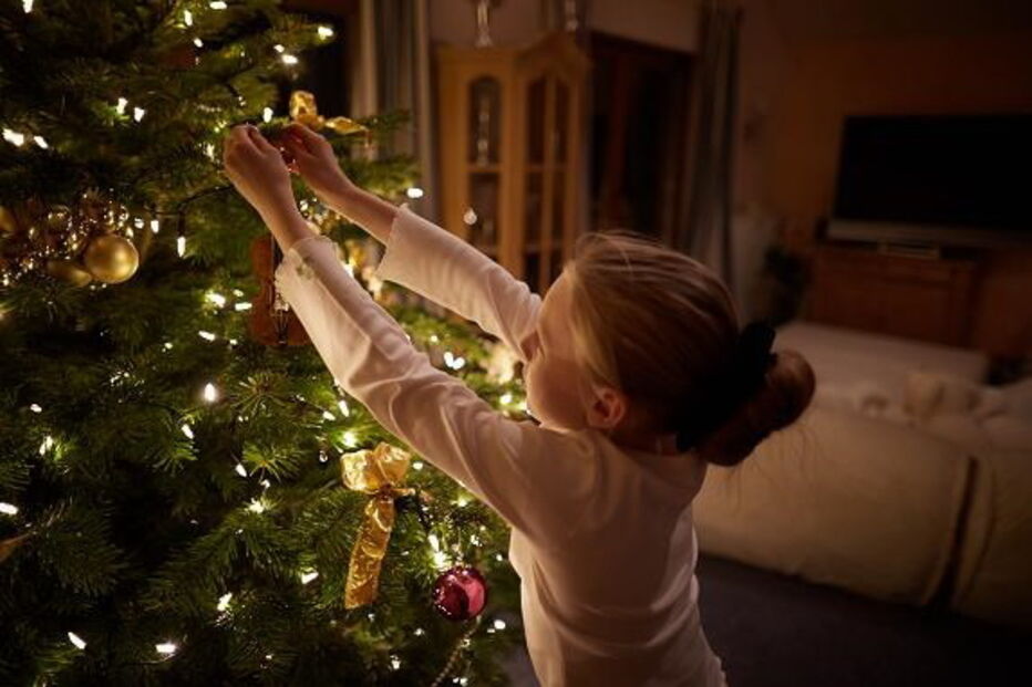 02-12-2016_12_18_16 foto native.jpg