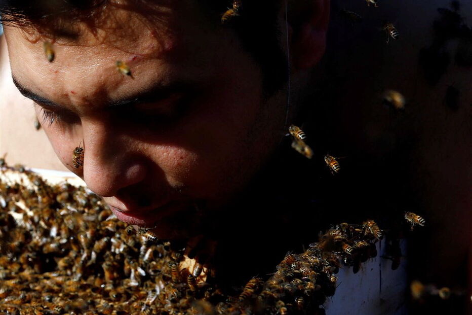 02-12-2016_17_07_18 ng7936849.JPG