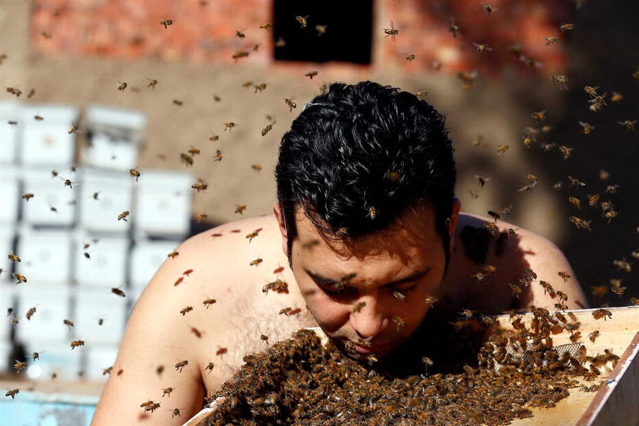 02-12-2016_17_07_19 ng7936850.JPG