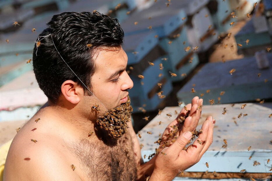 02-12-2016_17_07_20 ng7936851.JPG