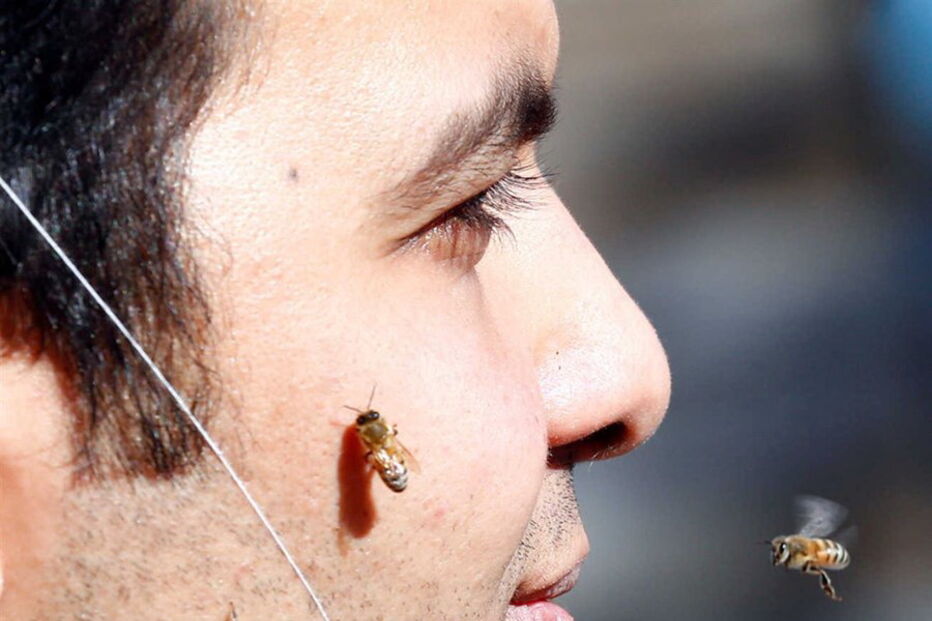 02-12-2016_17_07_21 ng7936853.JPG