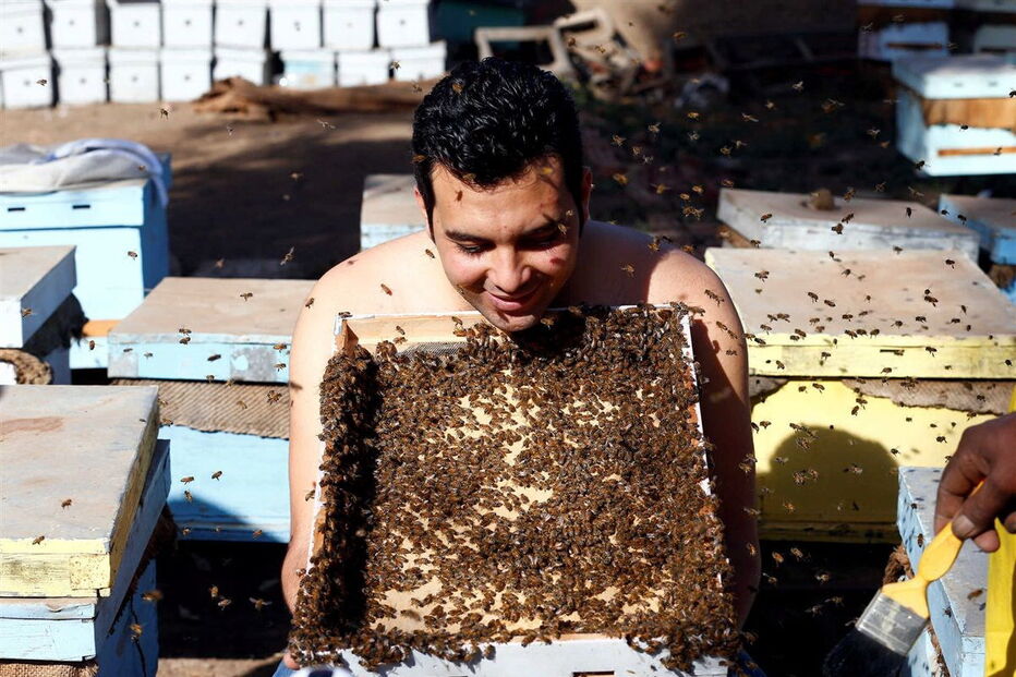 02-12-2016_17_07_22 ng7936854.JPG