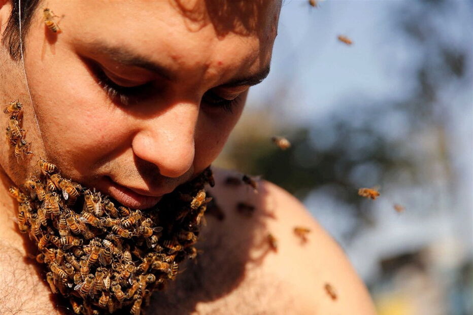 02-12-2016_17_07_22 ng7936856.JPG