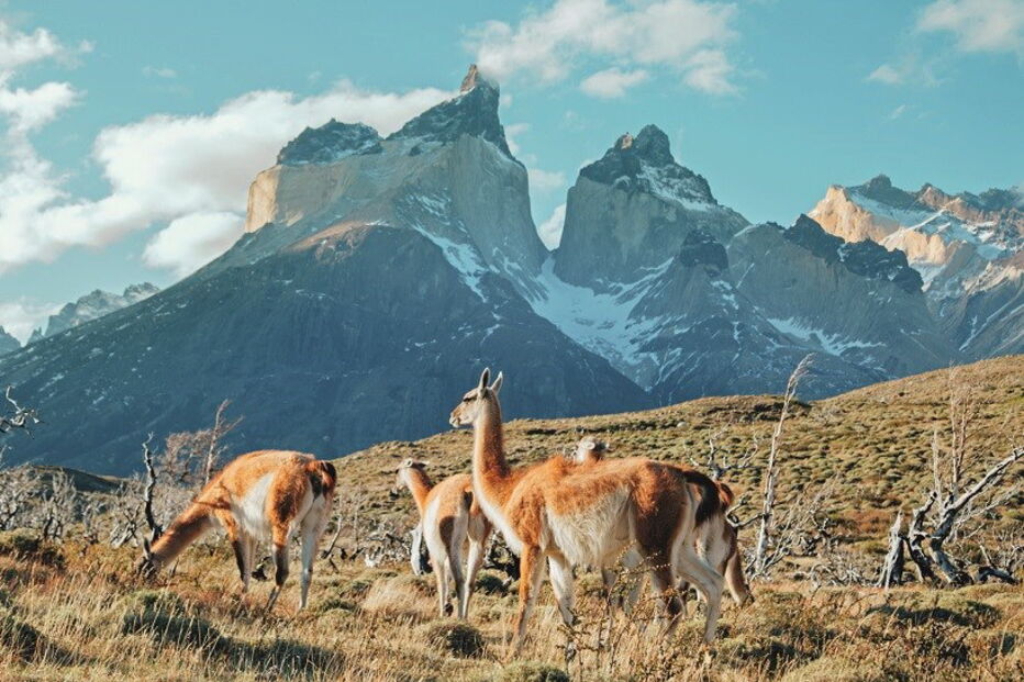 Chile, Chiloé, Ilha Grande de Chiloé, Puerto Montt, Gamboa, UNESCO, Património Mundial da Humanidade, Igreja de Santa María de Loreto, baía de Puñihuil, Patagónia, Argentina