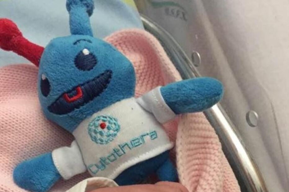 Joana Sousa Cardoso, Amâncio Santos, Olívia