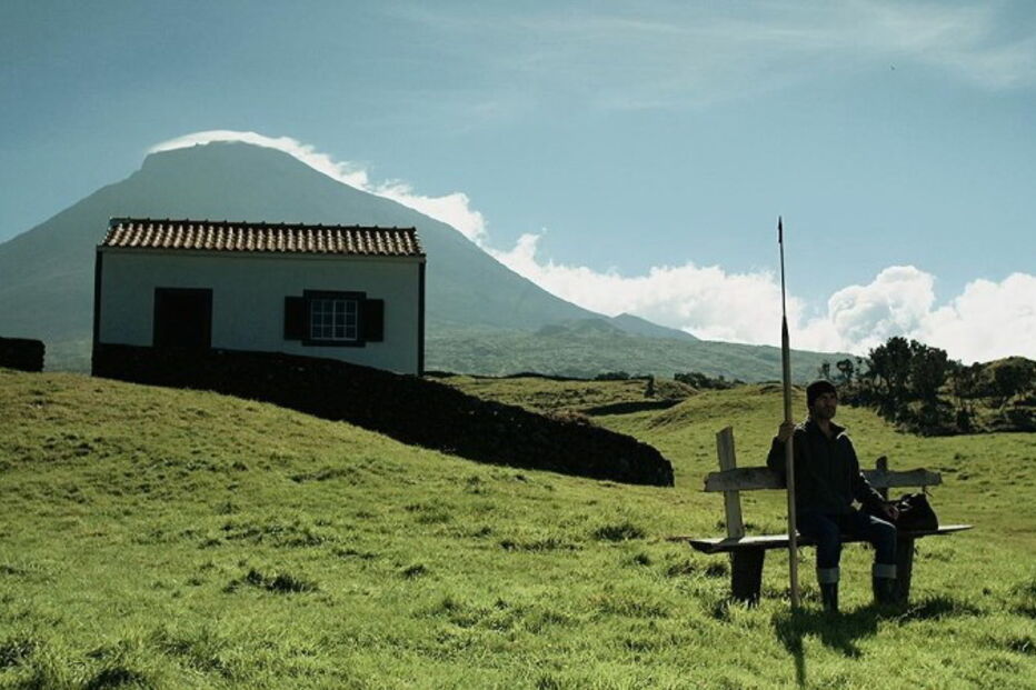 Cinzento, Negro, Prémios Áquila de Cinema, prémios, Luís Filipe Rocha