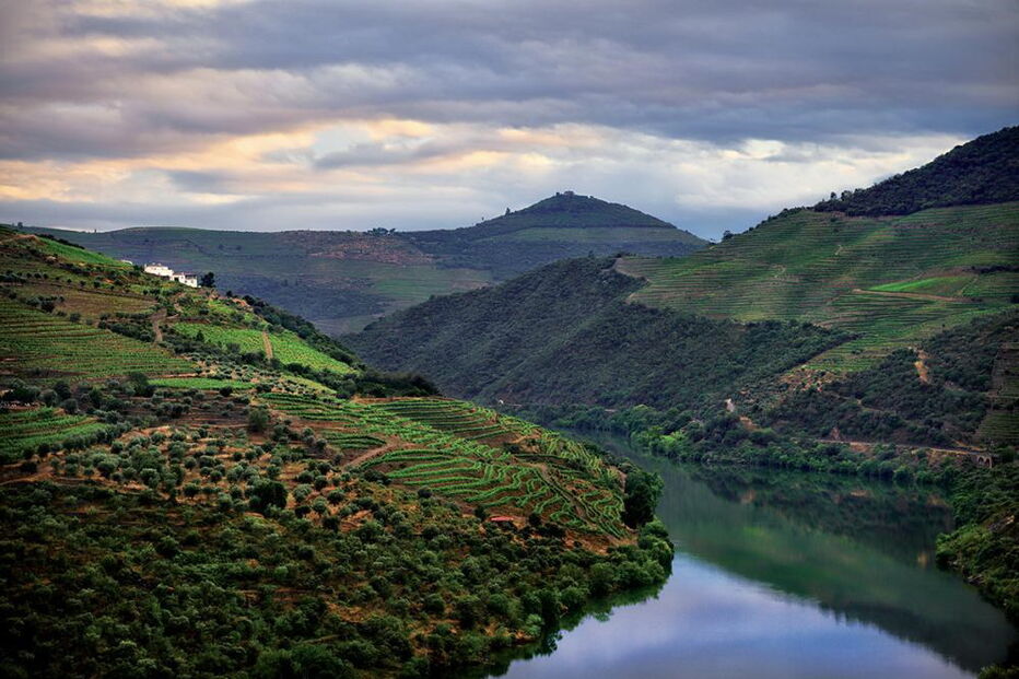 comissão, administração, Casa do Douro, salários, atraso
