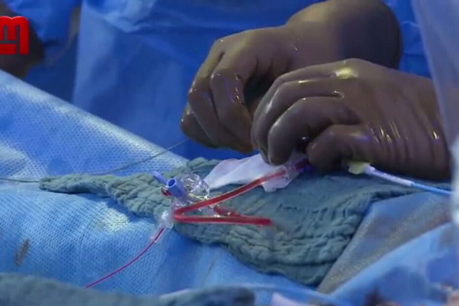 rasto máfia do sangue