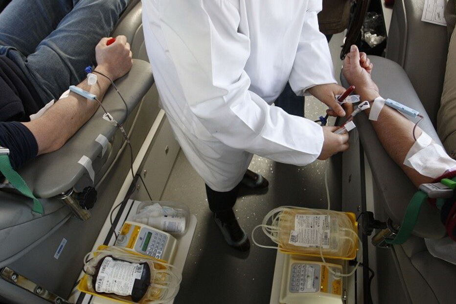 Serviço Nacional de Saúde, Portugal, Instituto Português do Sangue e da Transplantação, IPST, Ministério da Saúde, Diário da República, Ministério Público