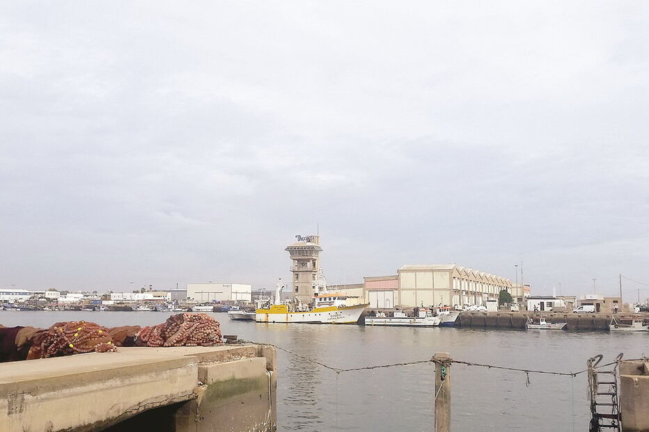 porto de Olhão, Portimão, Docapesca, Quarteira, obras públicas, política