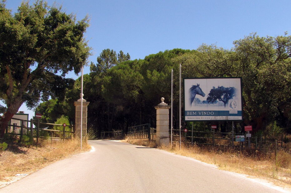 João Álvaro Dias, Herdade da Mata do Duque, Santo Estêvão, Benavente, Cristiano Ronaldo, Rover, presidente da Junta de Freguesia de Santo Estêvão, PJ