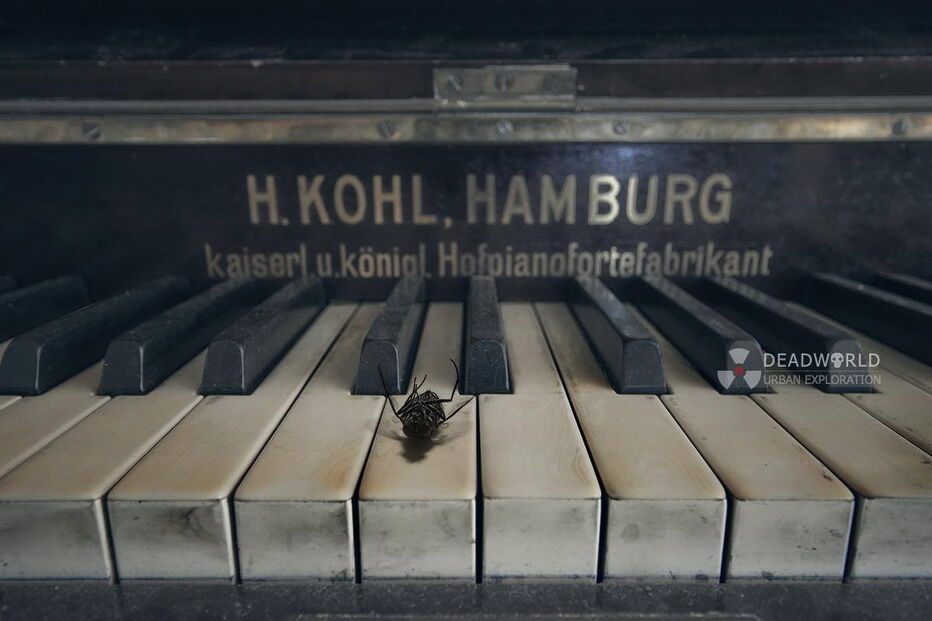 As imagens da desolação do abandono, captadas pelo fotógrafo português