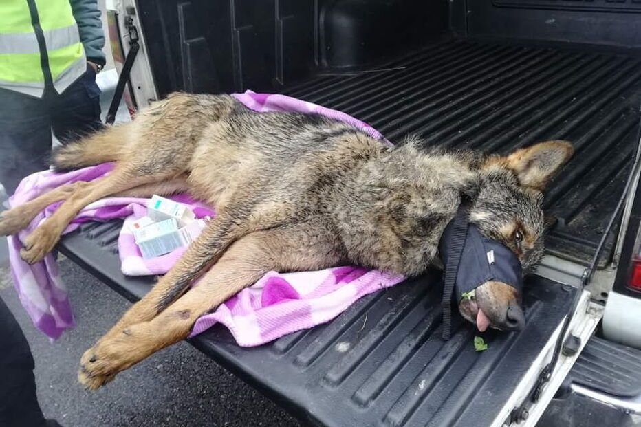 27-12-2016_00_15_13 11nor2.jpg