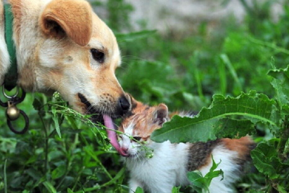 27-12-2016_01_05_45 11-3.jpg