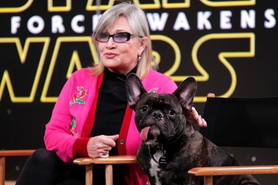 Carrie Fisher, a eterna Princesa Leia da Guerra das Estrelas, morreu aos 60 anos