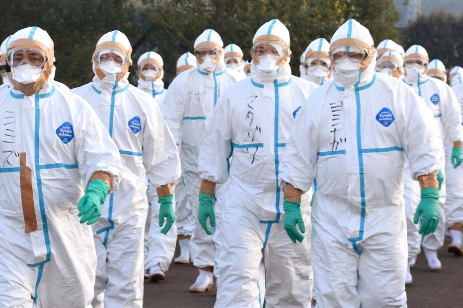 Japão, gripe aviária, morte, aves, Nankan, Hokkaido, Nagoya, saúde