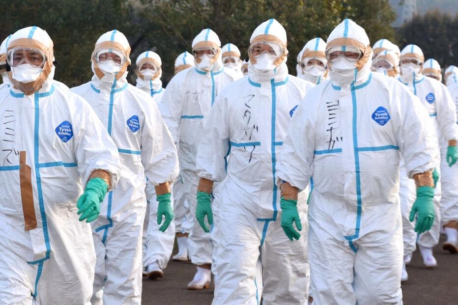 Japão, gripe aviária, morte, aves, Nankan, Hokkaido, Nagoya, saúde