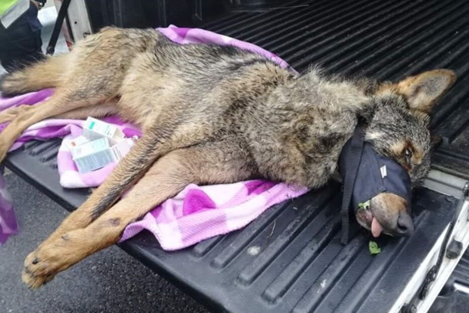 29-12-2016_13_24_43 img_818x455$2016_12_27_00_15_13_585344.jpg