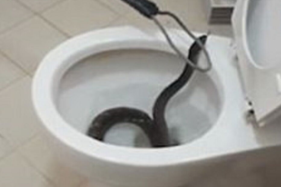 30-12-2016_03_40_21 30i1.JPG