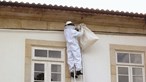 Combate à vespa teve ajuda dos apicultores