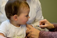 Programa Nacional de Vacinação, novas vacinas, tosse convulsa, grávidas, BCG, grupos de risco, saúde