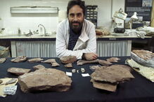 Paleontólogo Octávio Mateus foi o único português a integrar a expedição