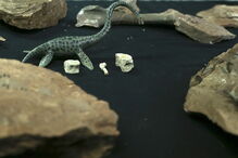 Paleontólogo Octávio Mateus foi o único português a integrar a expedição